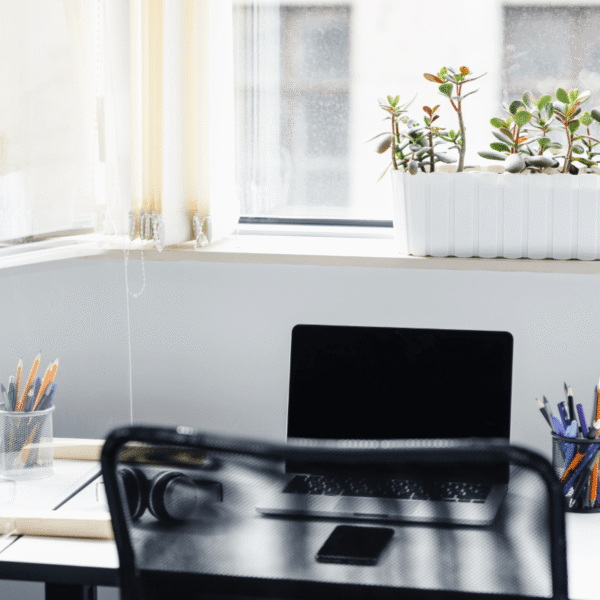 Thuiswerkplek met laptop, planten en daglicht