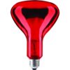 13937_mw_800_mh_800_1-1.jpg Schiefer E27 Infrarood Lamp | 100W 220V/240V R95