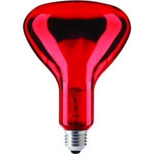 Schiefer E27 Infrarood Lamp | 100W 220V/240V R95
