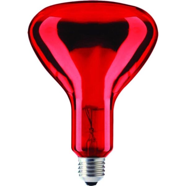 13937_mw_800_mh_800_1-1.jpg Schiefer E27 Infrarood Lamp | 100W 220V/240V R95