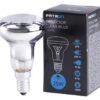 393773_mw_800_mh_800-1.jpg Patron E14 R50 Reflector Gloeilamp | 25W 2700K | Dimbaar