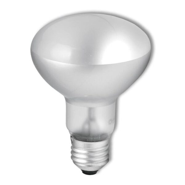 heavy-duty-schijnwerperlamp-r63-e27-60w-230v-2700k-img-ec0316-fd-2.jpg GE Reflector Gloeilamp E27 - 40W - Warm wit licht (2700K) - 300 lumen - 1 jaar - Dimbaar - R63