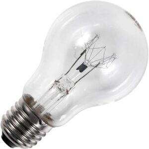 Schiefer E27 Gloeilamp | 100W 2700K 1000lm 230V | Dimbaar