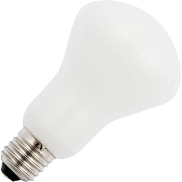 13750_mw_800_mh_800_1.jpg Schiefer Gloeilamp E27 - 150W - Warm wit (2700K) - 1940 lumen - 1 jaar - Dimbaar
