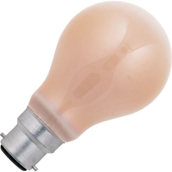 13763_mw_800_mh_800_1.jpg Schiefer Peer Gloeilamp Overig - 60W - Warm wit (2700K) - 70 lumen - 1 jaar - Dimbaar
