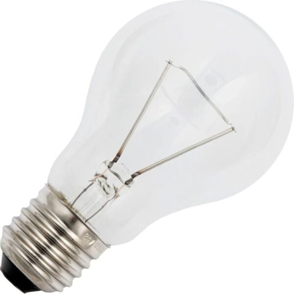 Schiefer Peer Gloeilamp E27 - 40W - 42V - Warm wit (2700K) - 450 lumen - 1 jaar - Dimbaar