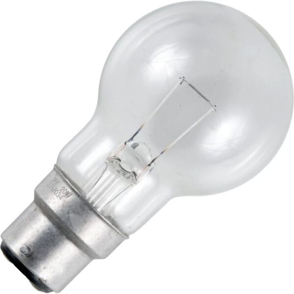 Schiefer Ba22d Globe Gloeilamp | 20W 2700K 200lm 24V Ø50mm | Dimbaar