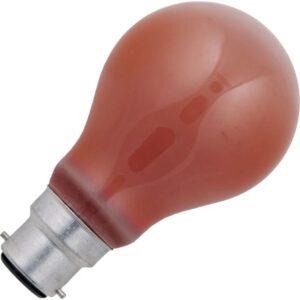 Schiefer Peer Gloeilamp Overig - 60W - Warm wit (2700K) - 60 lumen - 1 jaar - Dimbaar