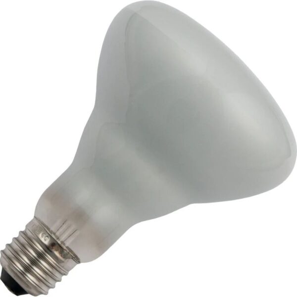 13924_mw_800_mh_800_1.jpg Schiefer Gloeilamp E27 - 200W - Warm wit (2700K) - 1 jaar - Dimbaar