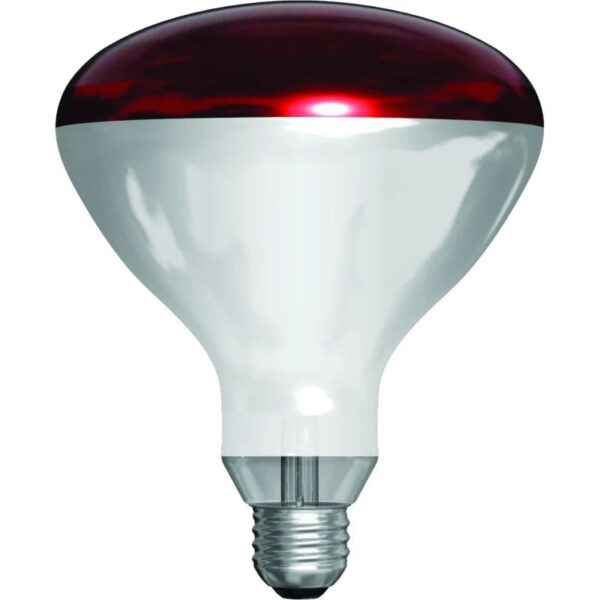 Schiefer R-kolf/reflectorlamp Gloeilamp E27 - 250W - 1 jaar - Dimbaar