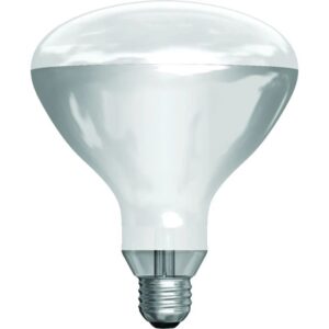 Schiefer R-kolf/reflectorlamp Gloeilamp E27 - 250W - 1 jaar - Dimbaar