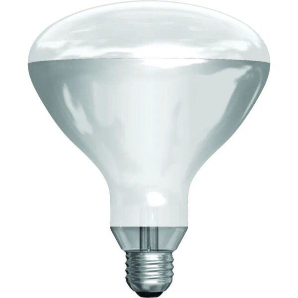 13938_mw_800_mh_800_3.jpg Schiefer R-kolf/reflectorlamp Gloeilamp E27 - 375W - 1 jaar - Dimbaar