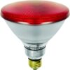 13939_mw_800_mh_800_1-2.jpg Schiefer E27 Infrarood Lamp | 100W 220V/240V PAR38