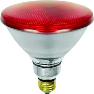 Schiefer E27 Infrarood Lamp | 150W 220V/240V PAR38