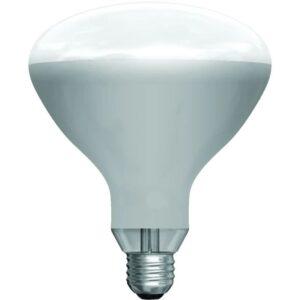 Schiefer R-kolf/reflectorlamp Gloeilamp E27 - 250W - 1 jaar - Dimbaar
