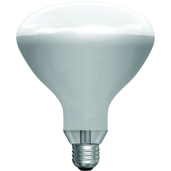 Schiefer R-kolf/reflectorlamp Gloeilamp E27 - 250W - 1 jaar - Dimbaar