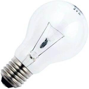 Schiefer E27 Gloeilamp | 100W 2700K 1400lm 42V | Dimbaar