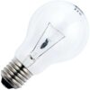 14072_mw_800_mh_800_16-2.jpg Schiefer E27 Gloeilamp | 25W 2700K 200lm 65V | Dimbaar