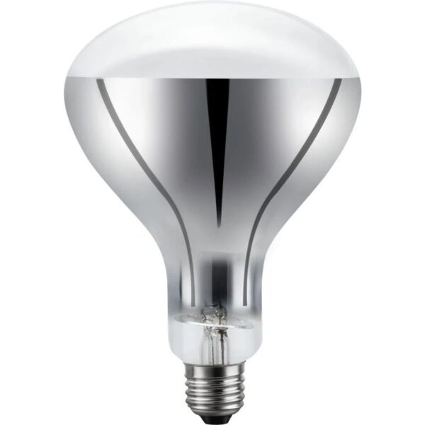 245392_mw_800_mh_800.jpg Schiefer Gloeilamp E26 - 200W - Warm wit (2700K) - 1 jaar - Dimbaar