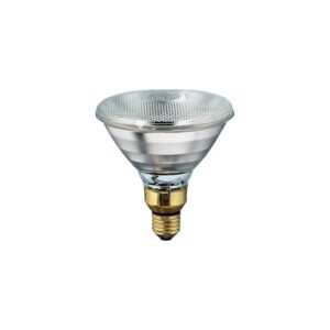 Philips PAR Reflector Gloeilamp E27 - 100W - 1 jaar - Dimbaar