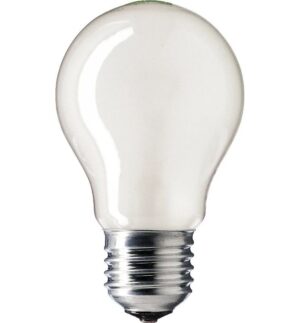Patron E27 Gloeilamp | 25W 2700K 195Lm Mat | Dimbaar