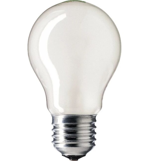 393728_mw_800_mh_800.jpg Patron Peer Gloeilamp E27 - 25W - Warm wit (2700K) - 195 lumen - 1 jaar - Dimbaar
