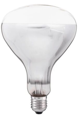 Thorgeon R-kolf/reflectorlamp Gloeilamp E27 - 375W - 1 jaar - Dimbaar