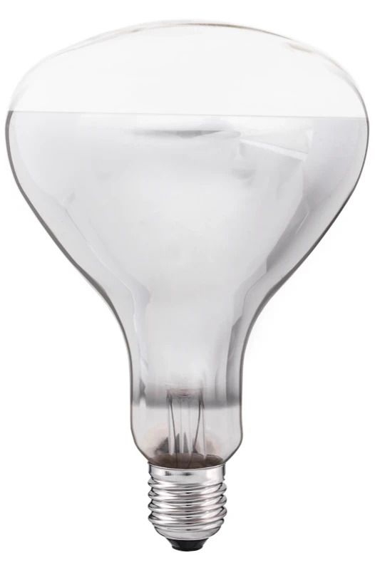 Thorgeon R-kolf/reflectorlamp Gloeilamp E27 - 375W - 1 jaar - Dimbaar