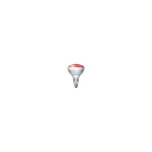 Philips R-kolf/reflectorlamp Gloeilamp E27 - 250W - 1 jaar - Dimbaar