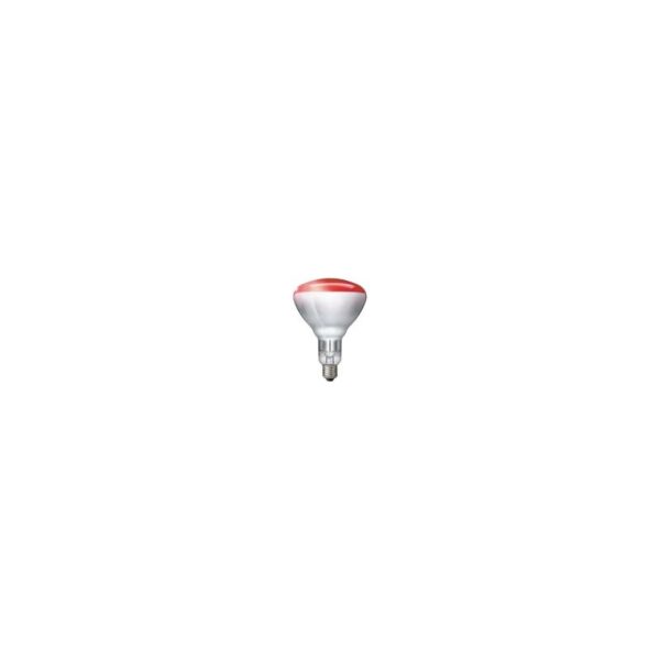 Philips R-kolf/reflectorlamp Gloeilamp E27 - 250W - 1 jaar - Dimbaar