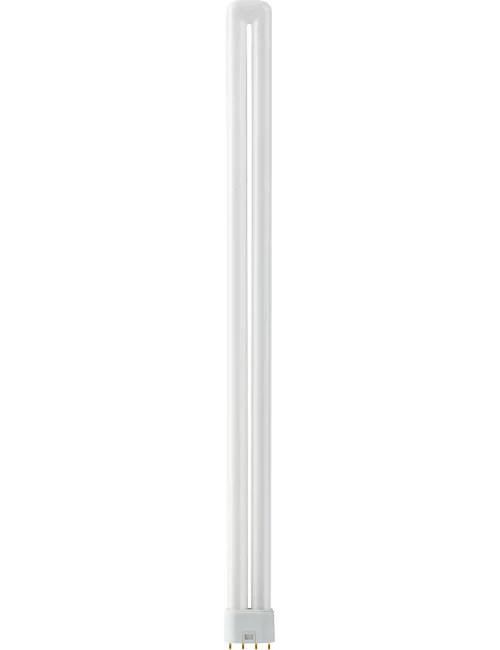 790336_mw_800_mh_800-2.jpg SPL 2G11 PL-L 4P Spaarlamp | 55W 830 3000K | 4-Pins