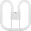 Schiefer GR10q CFL Spaarlamp | 38W 827 2700K 2850lm