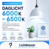 Daglicht 6000–6500K | Lichtkiezer Infographic over daglicht van 6000 tot 6500 kelvin met helder verlichte werkruimte.