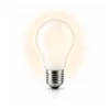 Gloeilamp met E27 fitting en peervorm op een witte achtergrond.